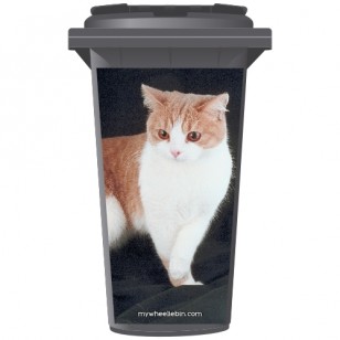 Tabby Ginger Cat Wheelie Bin Sticker Panel